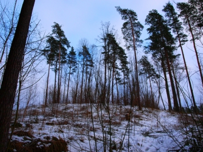 Leduskalns