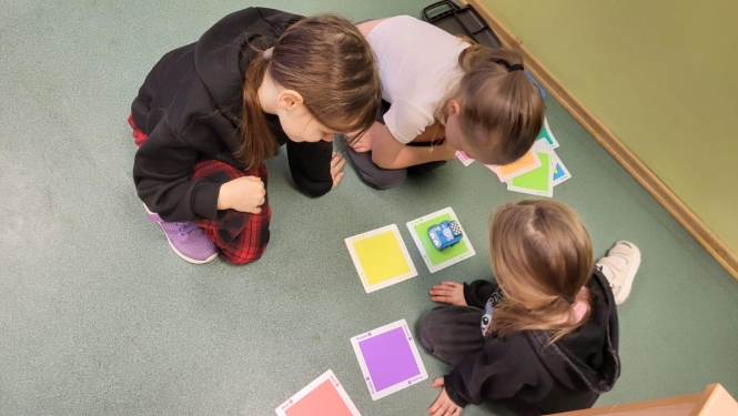 stem projekts