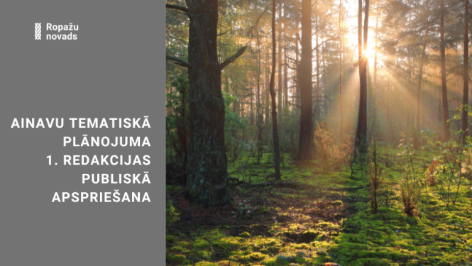 Publiskā apspriešana, ainavu plānojums