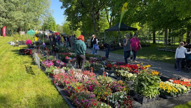 Vasarsvētku Stādu parāde Ropažu parkā