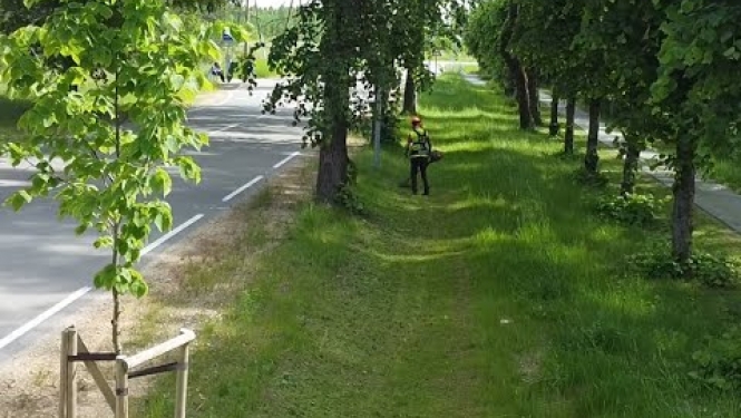 Ropažu novadā civiliedzīvotāji no Ukrainas uzsākuši darbu pašvaldības piedāvātajās vakancēs