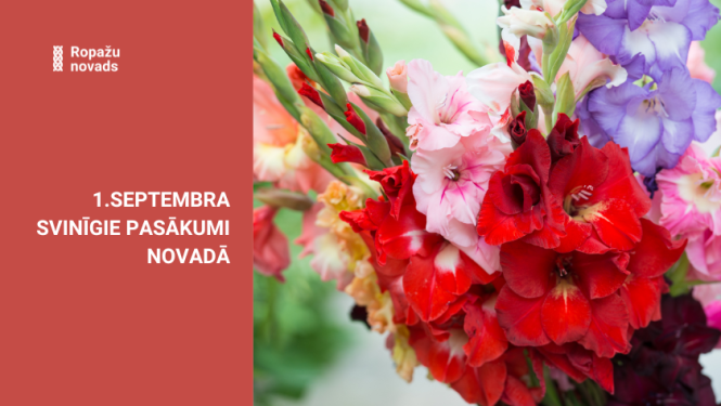 gladiolas