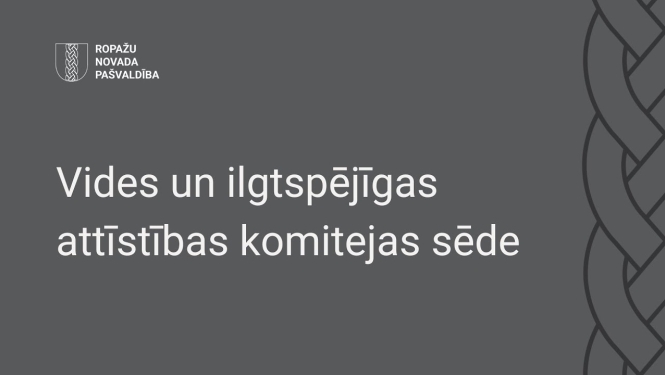Vides un ilgtspējīgas attīstības komiteja