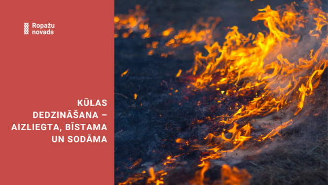 kūlas dedzināšana