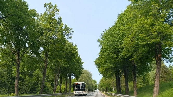 autobuss