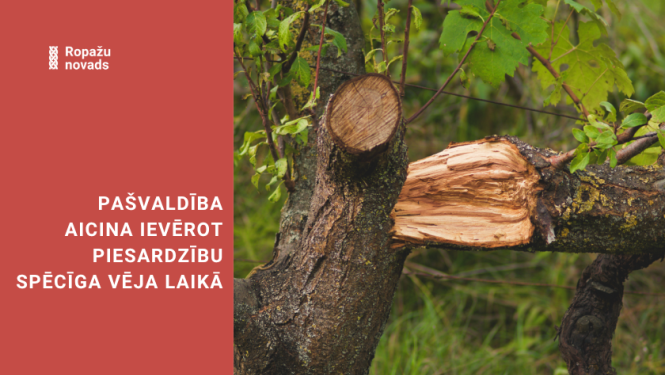 Pašvaldība aicina ievērot piesardzību spēcīgā vēja laikā; bildē lūzis koks