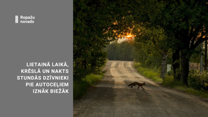 lapsa un ceļš