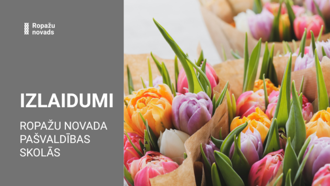 tulpes vairākos pušķos