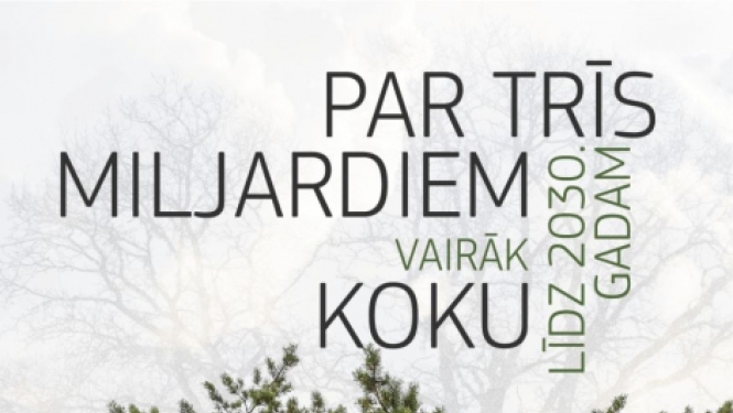 skuju koki