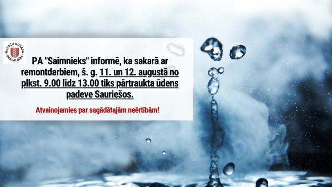 PA_Saimnieks