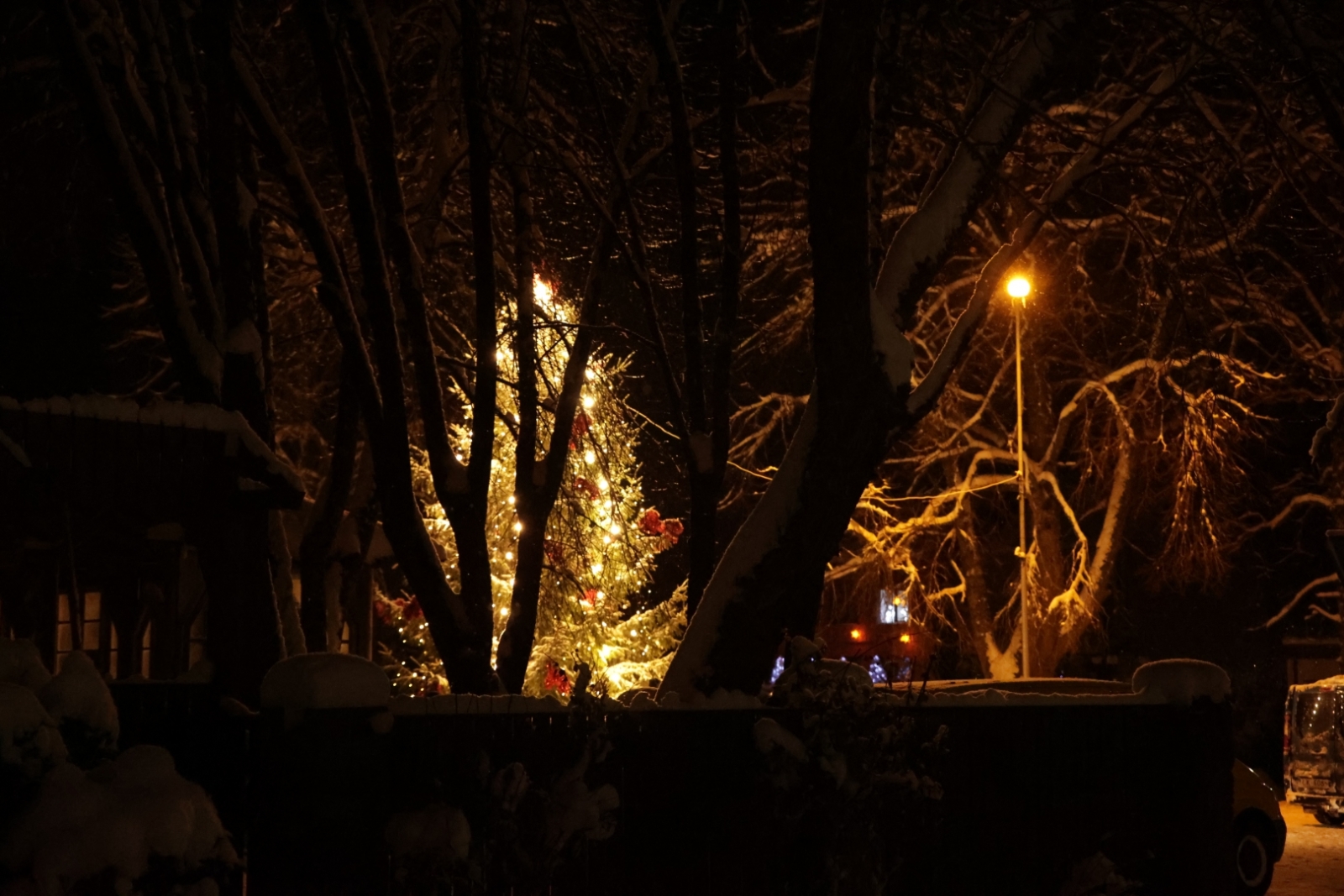 Ziemassvētku eglītes iedegšana Ropažos, 03.12.2023.