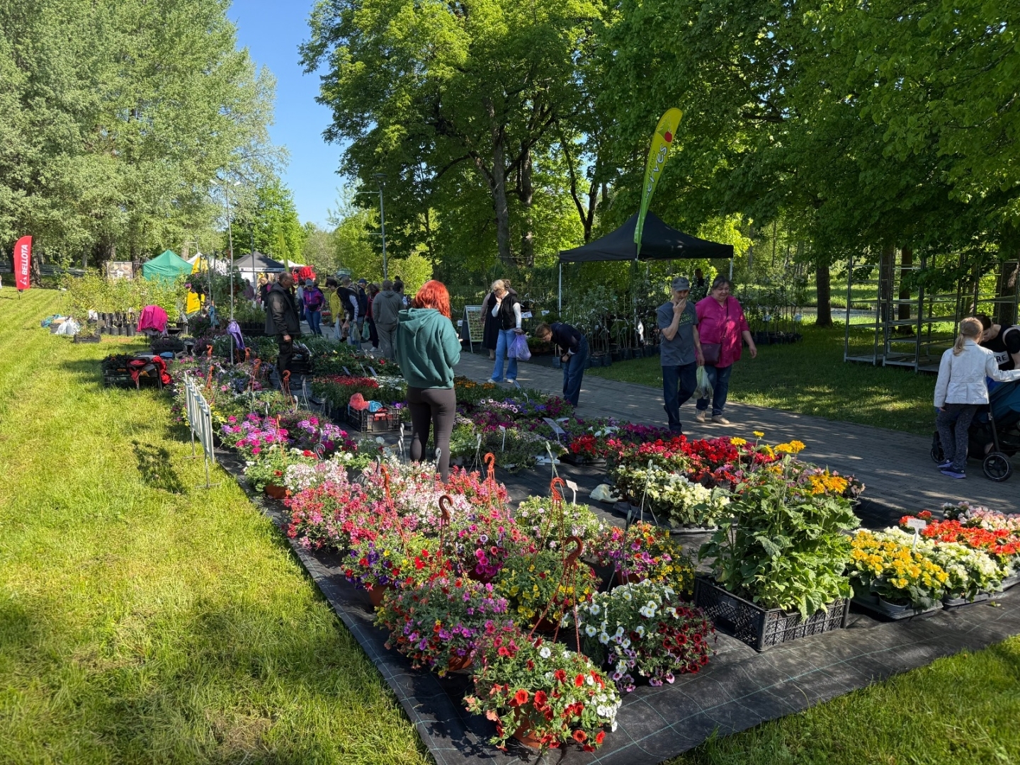 Vasarsvētku Stādu parāde Ropažu parkā