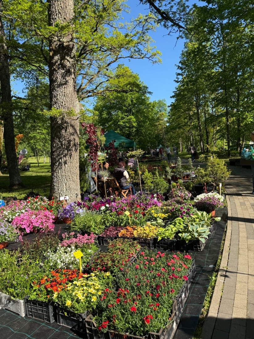Vasarsvētku Stādu parāde Ropažu parkā