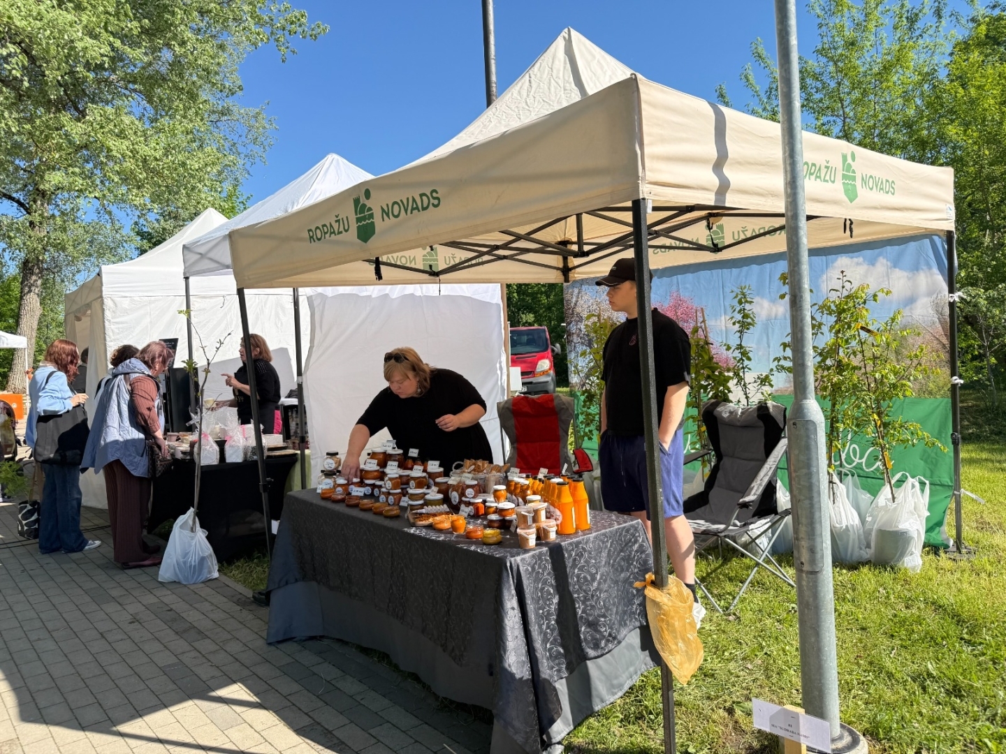 Vasarsvētku Stādu parāde Ropažu parkā