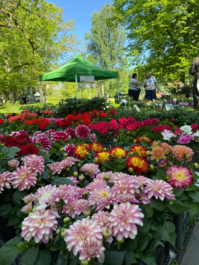 Vasarsvētku Stādu parāde Ropažu parkā