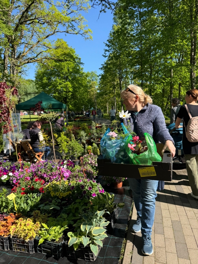 Vasarsvētku Stādu parāde Ropažu parkā