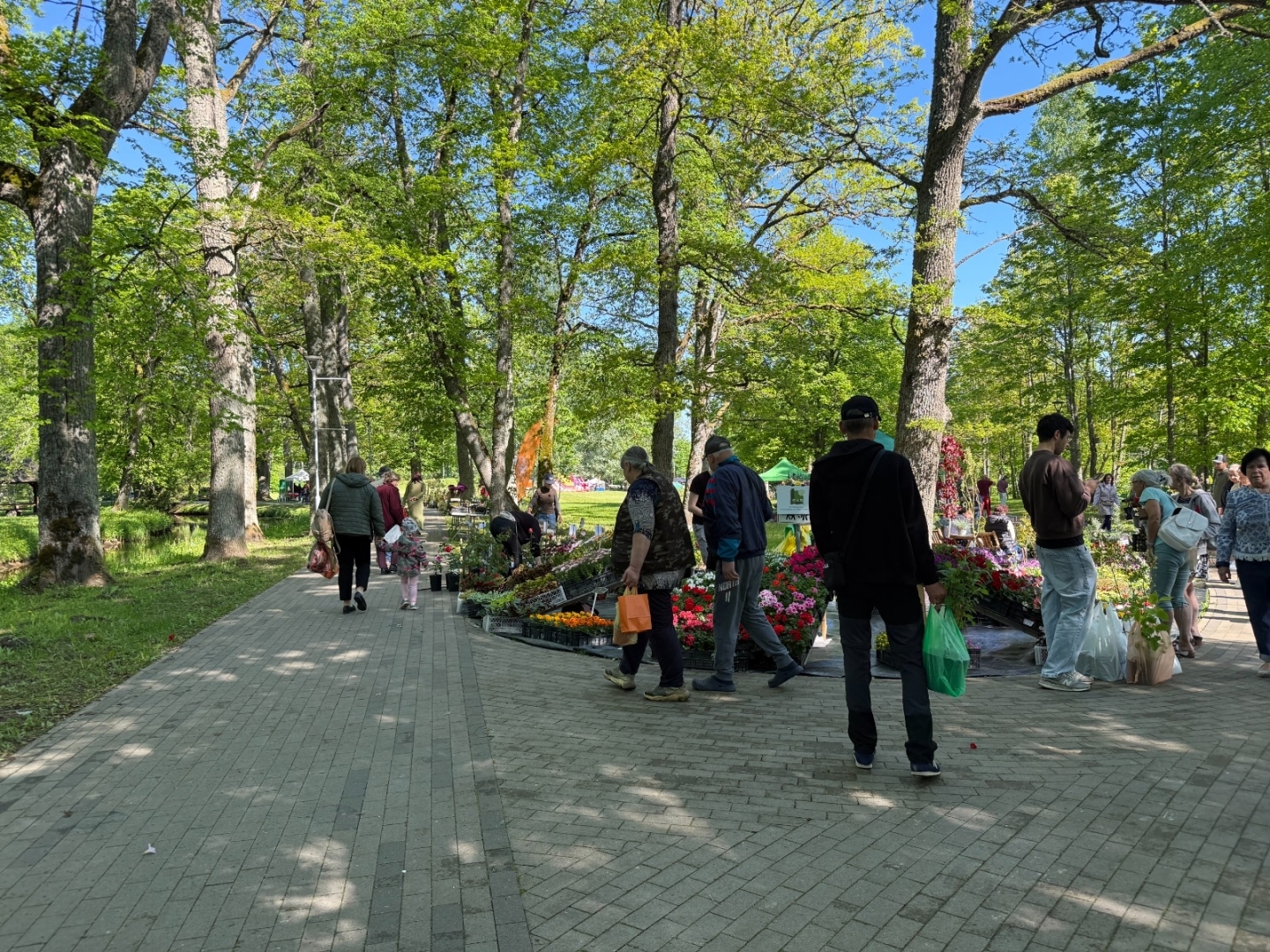 Vasarsvētku Stādu parāde Ropažu parkā