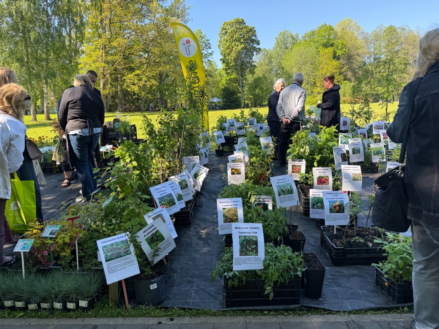 Vasarsvētku Stādu parāde Ropažu parkā