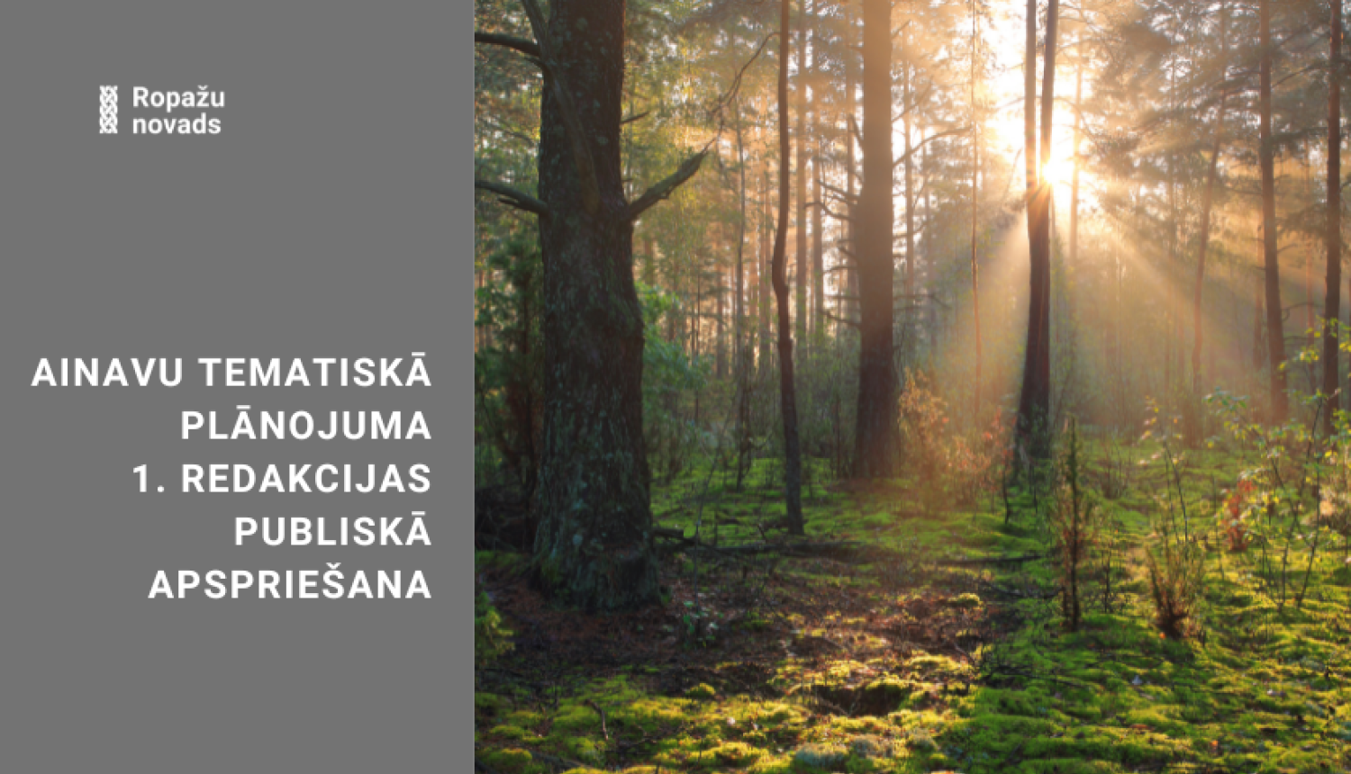 Publiskā apspriešana, ainavu plānojums