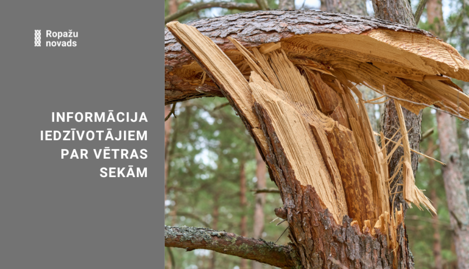 vētras postījum