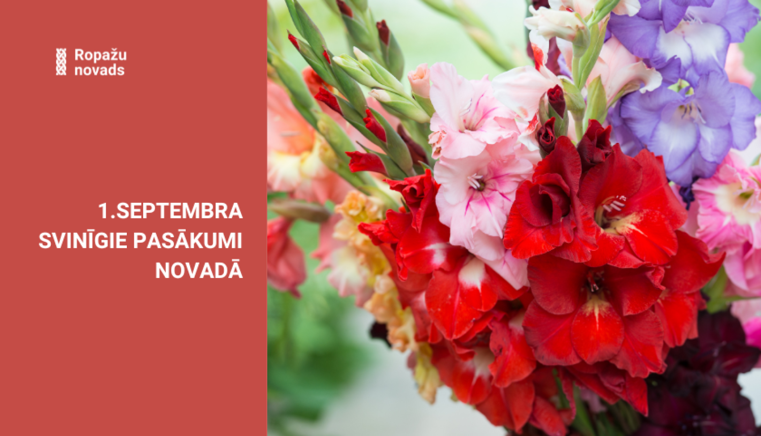 gladiolas