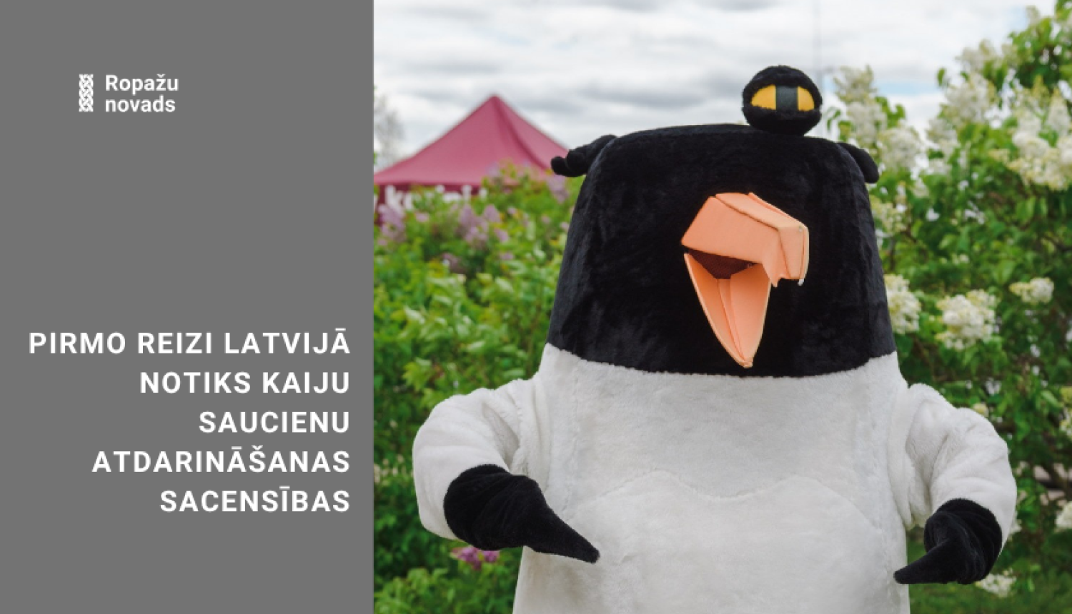 SIA "Getliņi EKO" kaiju sauciena atdarināšana