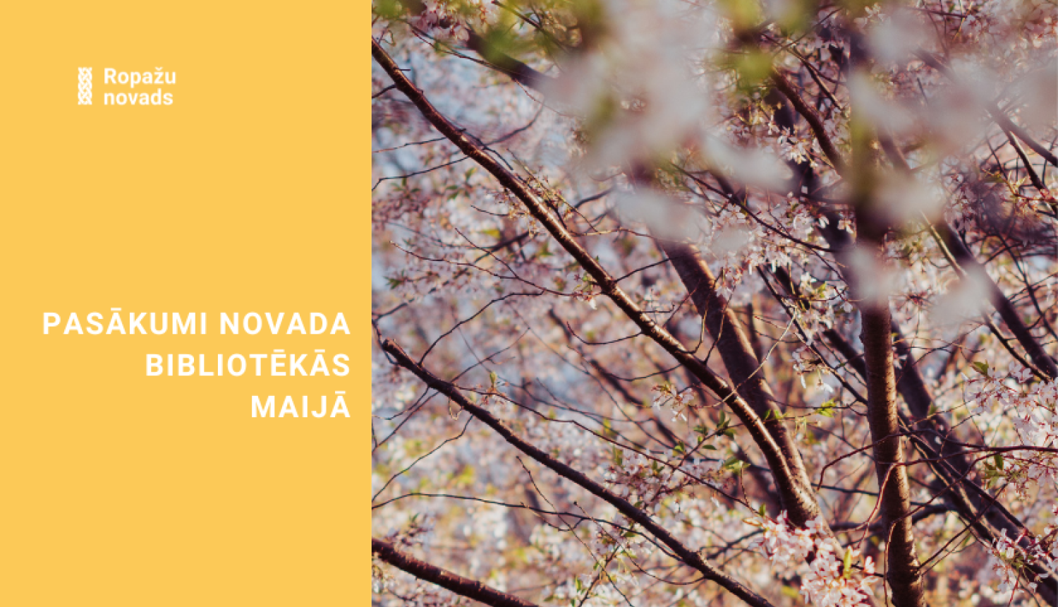 pasākumi bibliotēkās, bildē ziedoši ķirši