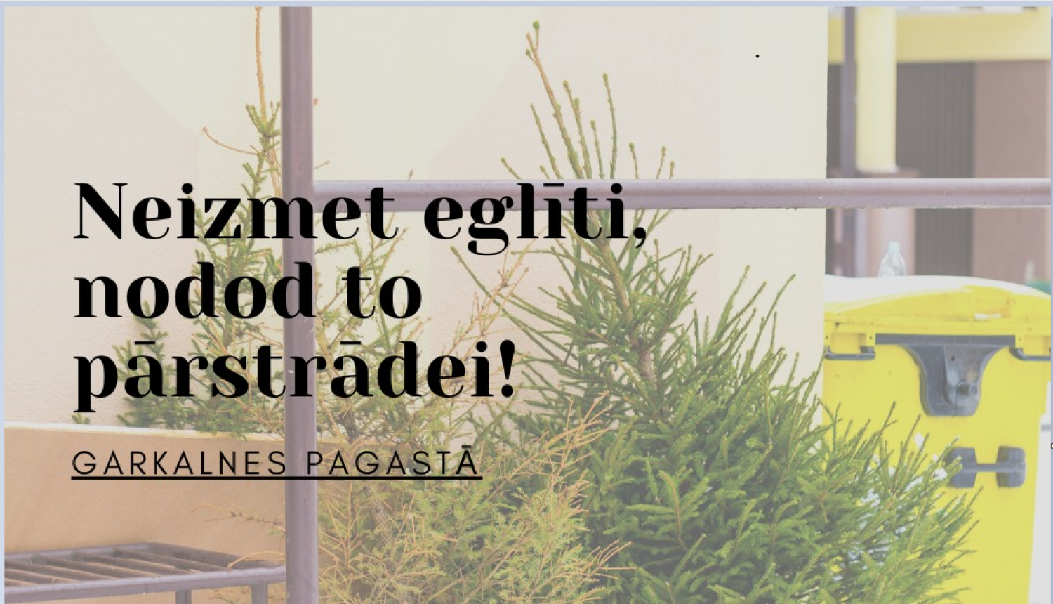 eglisu_menesis