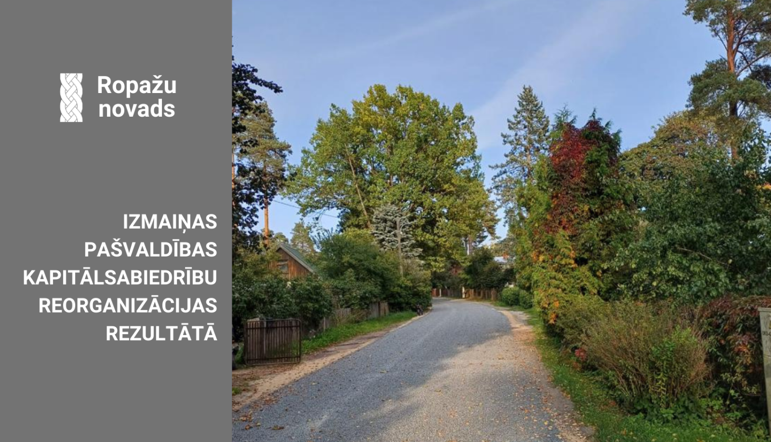 Kapitālsabiedrību reorganizācija