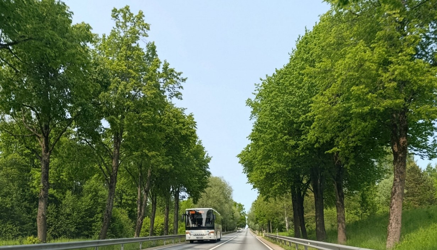 autobuss
