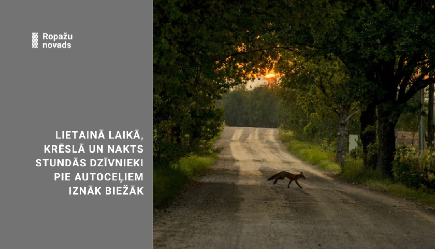 lapsa un ceļš