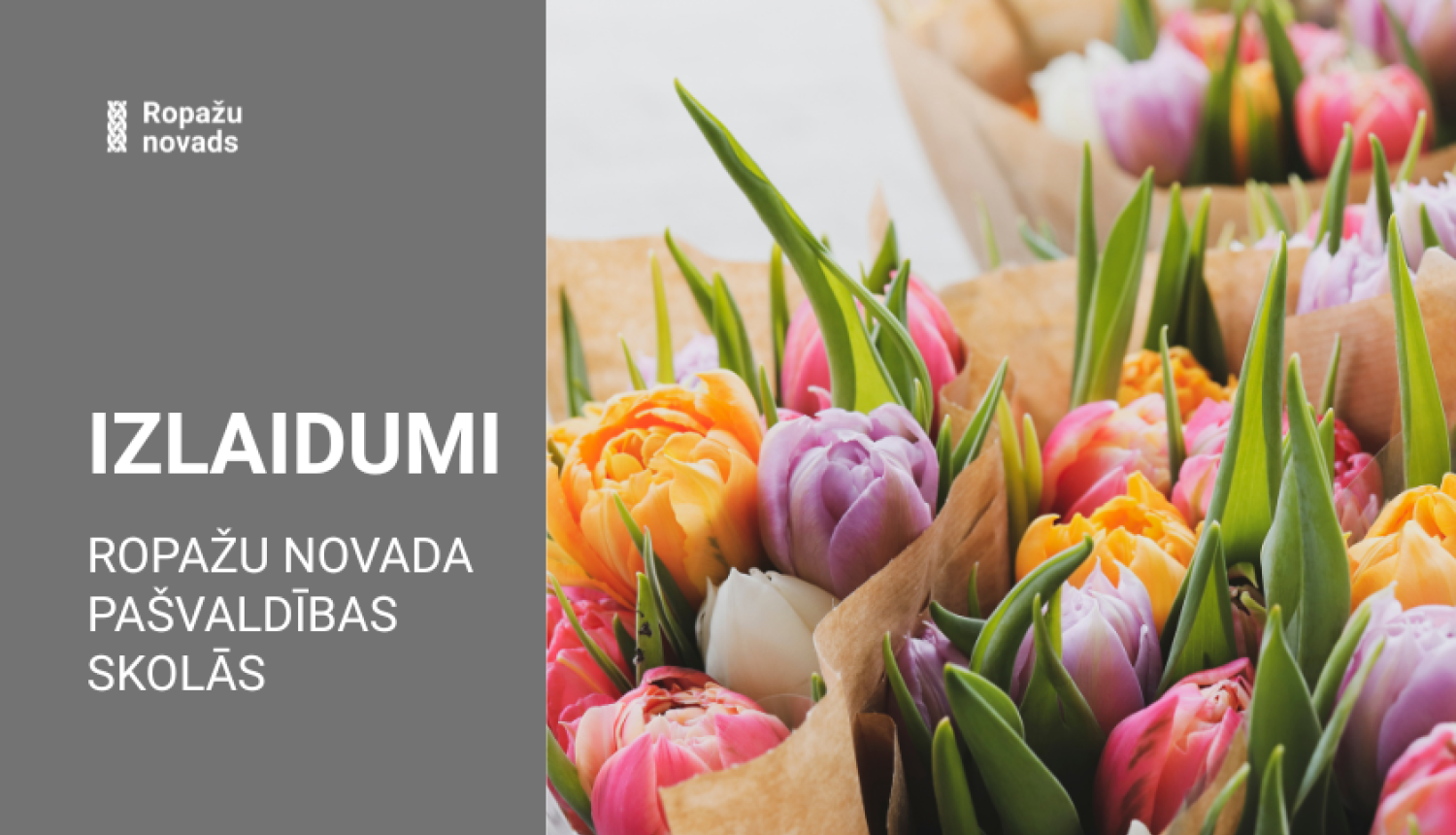 tulpes vairākos pušķos