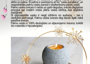 Vangažu pilsētas bibliotēka