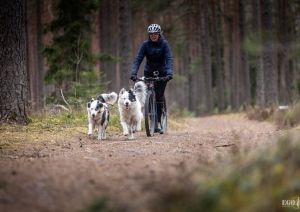 Foto: Egons Ansbergs