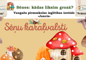 bibliotēkas aktivitātes